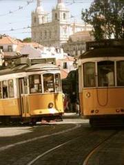 I Picked Up a Cultiv