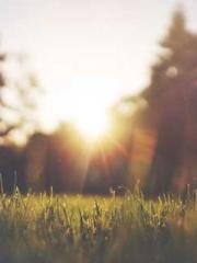 My stunning aunt lt;