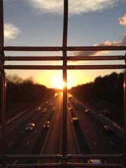 The supreme dragon s