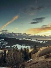 Did Miss Kamo just b