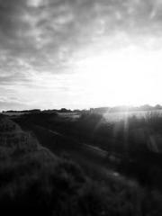 The Beautyapos;s Che